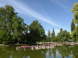 Jogging Matinal Bois de Vincennes