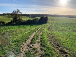 Sortie  Gravel & VTT val dOise 