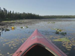 Sortie kayak