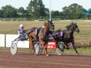 courses Hippique - Trot premium