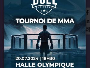 Tournoi de MMA