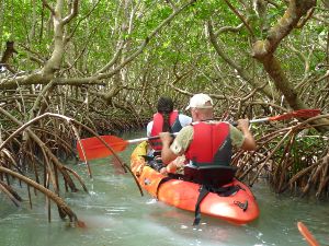 kayak sur la nied