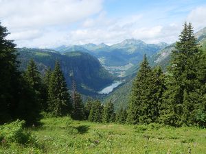 De Bassachaux au Lac Vert