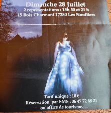 Spectacle musical et dambulation 