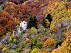 Roche nite chapelle roche charles