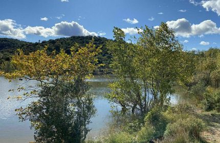 Lac de la Jasse - Mas d'Algre