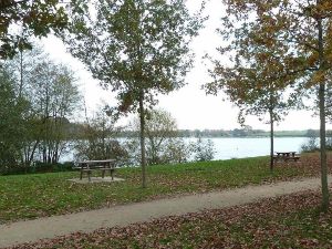 Footing la Gandonnire/La Chapelle sur Erdre