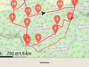 Balade de 13 kms en fort de Rambouillet 