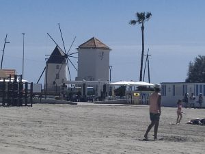 Tai chi/ la plage 