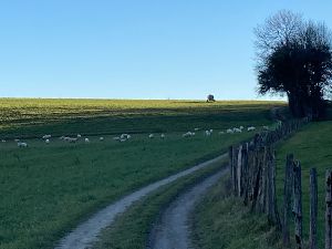 Randonne Cool sur  les chemins d'Angely 