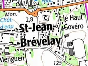 marche 35 km  saint jean brevelay 