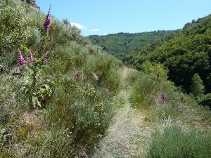 Le sentier des espagnols