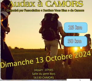 Marche d'endurance 