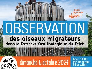 Observation des oiseaux migrateurs 