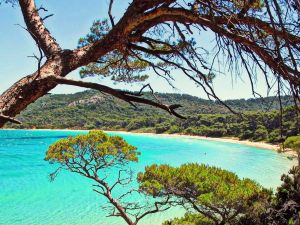 sortie voilier vers Porquerolles