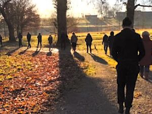 Marche en pleine conscience