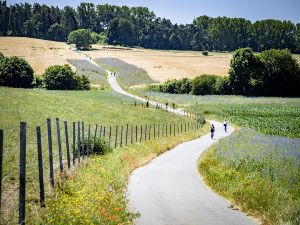 Balade Cycliste de Wavre  Zoet Wat (boucle) 29/09