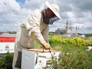 Rencontre avec Jacky, l'Happyculteur du Colise