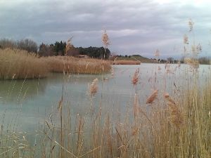 Gym Lac de Beaulieu/Monteux