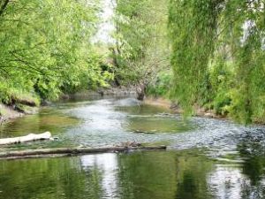 Marche dans le secteur de Yerres