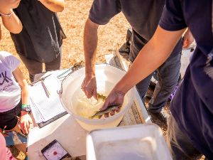 Atelier inventaire des poissons de Parempuyre