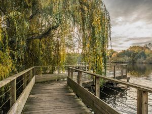 Footing le long de l'Erdre