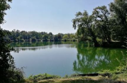 Marche pour tous  Lingolsheim