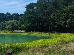 Balade lac vert