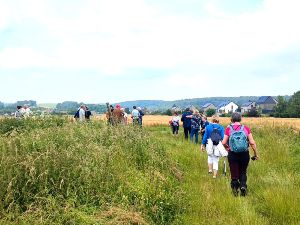 Marche + Repas +Th Dansant Jemeppe sur Sambre 