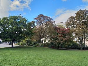 Dcouverte des arbres du parc Montsouris(14me)