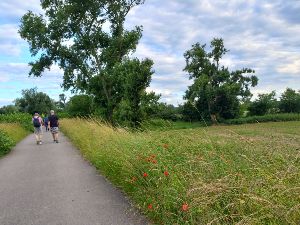 Marche rapide Sausheim