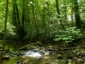 Marche Tonique autour de YERRES