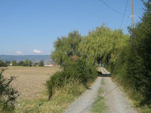 balade St Marcellin en forez