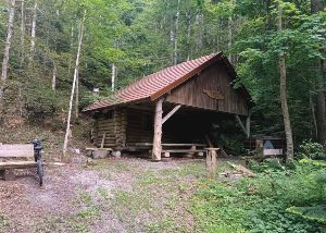 Randonne au clair de lune et raclette  la cabane