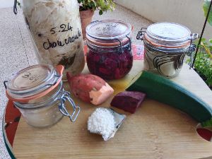 Atelier de lactofermentation