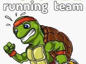 Tortue running 