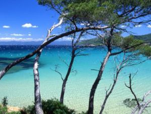 sortie voile et Porquerolles 