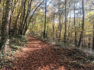 Rando 12km depuis Quevreville la Poterie