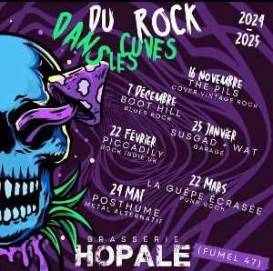 Concert  la brasserie Hopale 