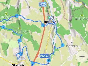 Marche en boucle  de  18.5k autour du bois de Thy 