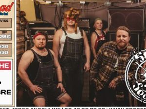 Steve'n Seagulls en concert au Crossroad