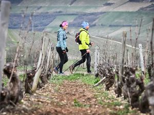 La petite Sancerroise