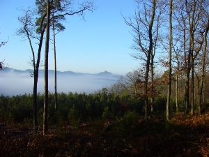 Au pays de Jacques le Barbu