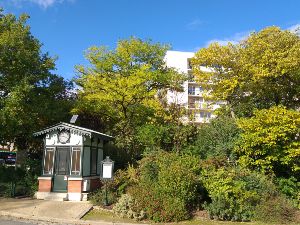 Dcouverte des arbres du parc Montsouris(14me)