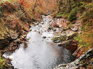 Week-end randonne en Hautes-Fagnes