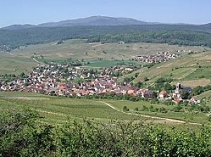 Boucle Westhalten - Osenbach- Wintzfelden .