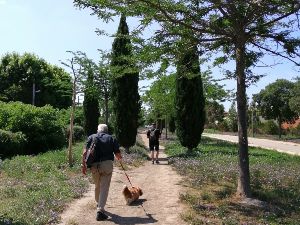 Balade au parc de la Moline 