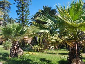 Villa Thuret visite des jardins 