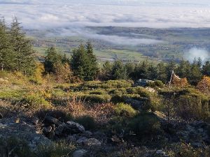 Randonne dans le parc du pilat col de Chassenoud