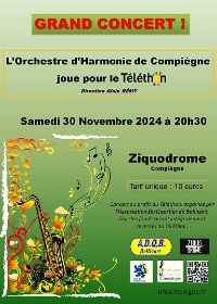 concert d'automne pour le tlthon